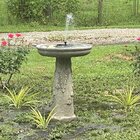 Campania International, Inc Flores Concrete Pedestal Birdbath & Reviews ...